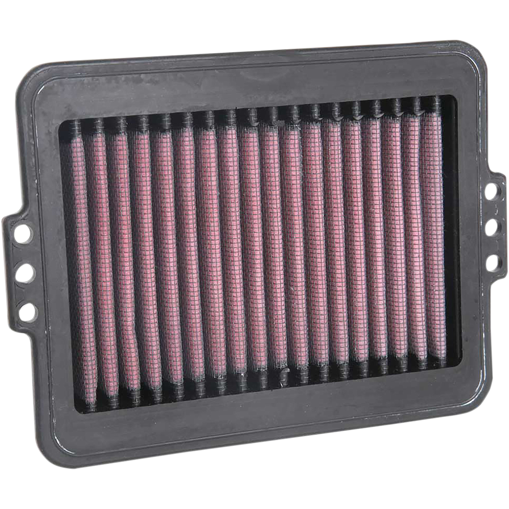 Filtro de aire K&amp;N p/BMW F850/750 GS