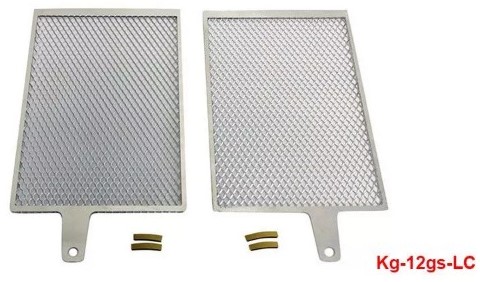 Protector p/radiador R1200GS 04-07 plata